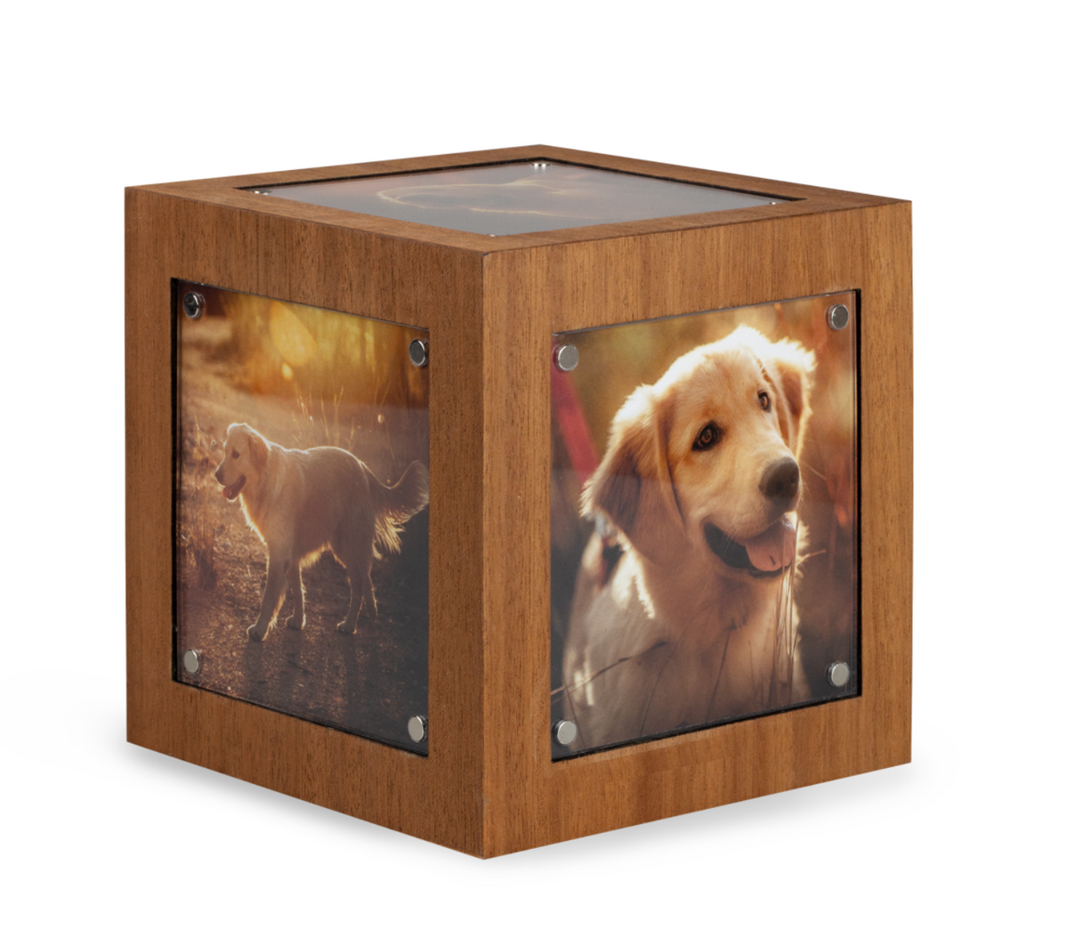Tierurne Memori Cube Mahagoni