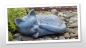 Preview: Tierurne "Liegende Katze" in blau