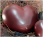 Preview: Tierurne in Herzform rot Keramik in 3 Größen