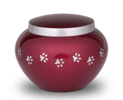 Preview: Tierurne mit Pfötchenmuster in Rot