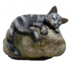 Tierurne Katze auf Stein