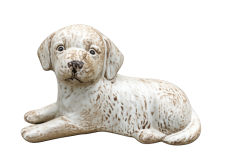 Tierurne Hund liegend in creme