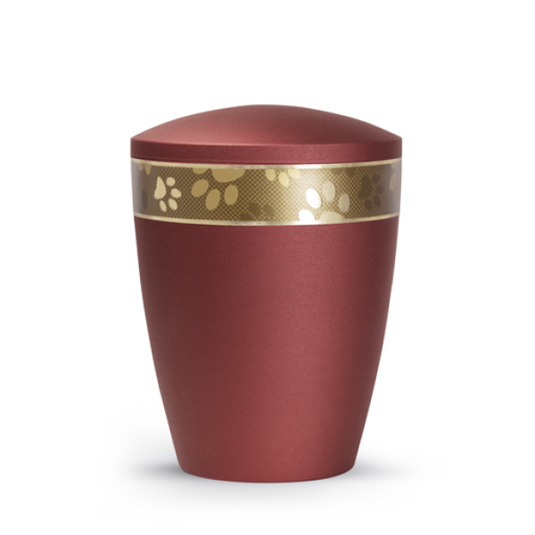 Tierurne Patas de oro gestreiftes Pfotenband Rubin